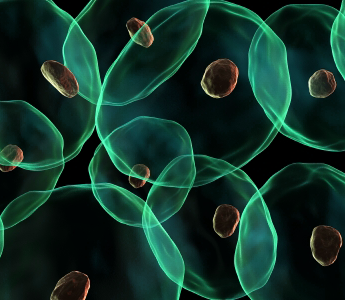 Clinical Diagnostics auto pipette, automation lab