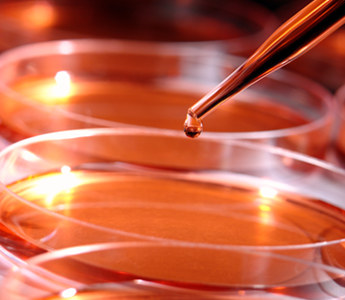 Liquid Handling liquid handling, liquid handler, liquid handling equipment, liquid handling systems, automated liquid handling