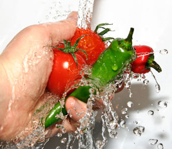 Food and safety Liquid Handling Automation